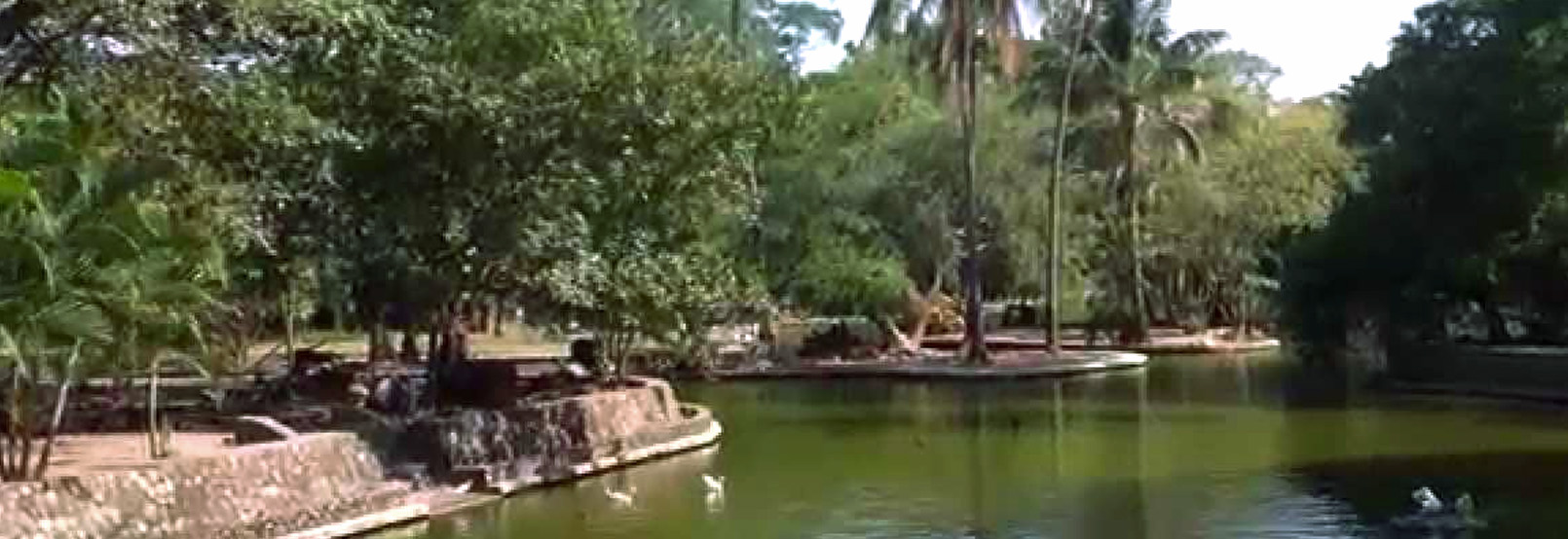 Parques recreativos colima